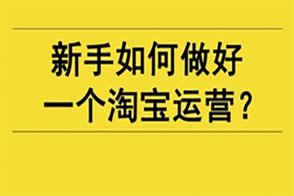 新手开淘宝店没访客该怎么运营？