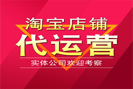 个体户和团队做电商到底有什么不一样？